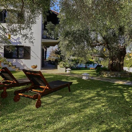 Villa The Cosy Olive Ормос Пангиас Екстериор снимка