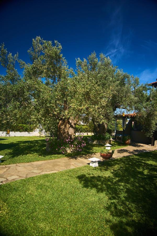 Villa The Cosy Olive Ормос Пангиас Екстериор снимка