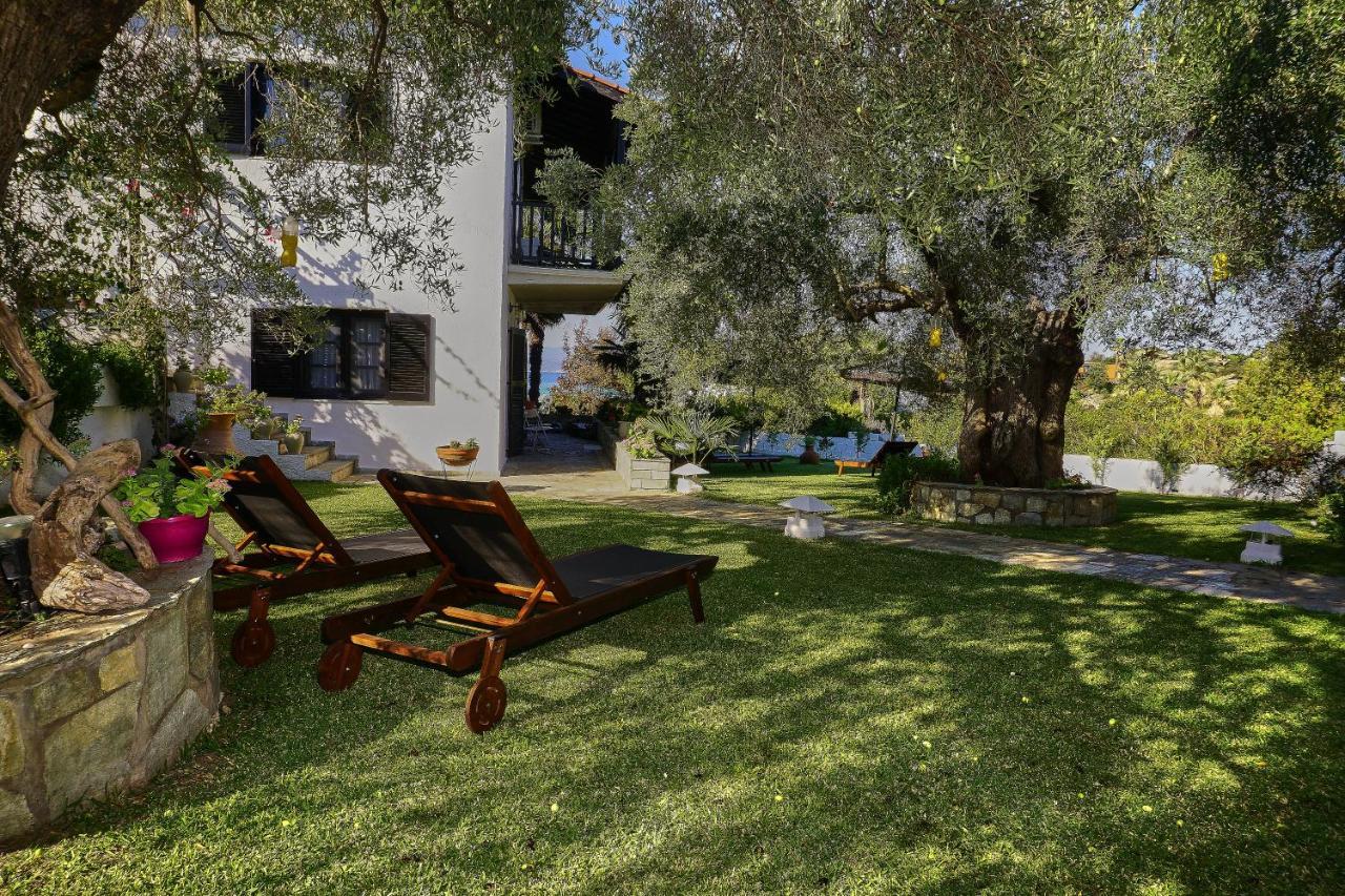 Villa The Cosy Olive Ормос Пангиас Екстериор снимка