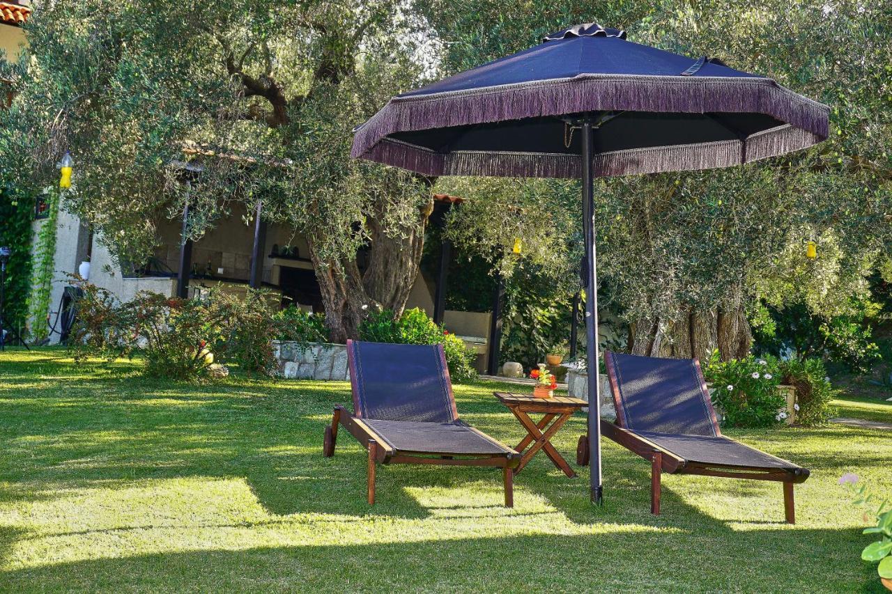 Villa The Cosy Olive Ормос Пангиас Екстериор снимка