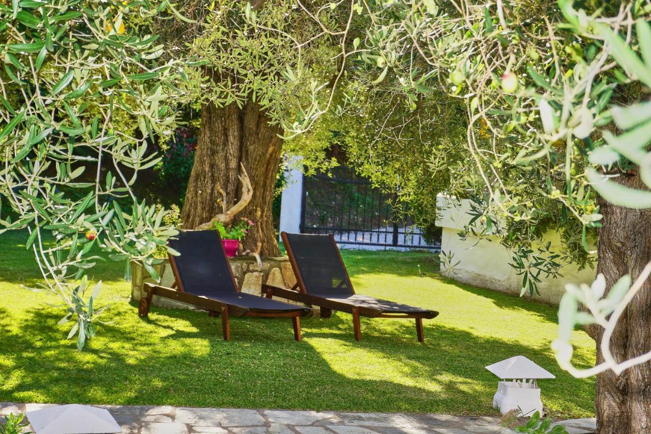 Villa The Cosy Olive Ормос Пангиас Екстериор снимка